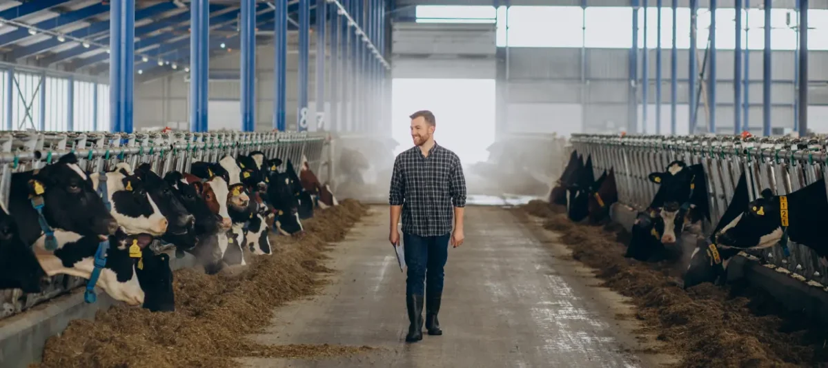 stallboden bodenbeschichtung landwirtschaft